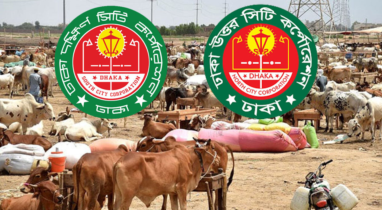 ঢাকার দুই সিটিতে বসছে ২১টি পশুর হাট
