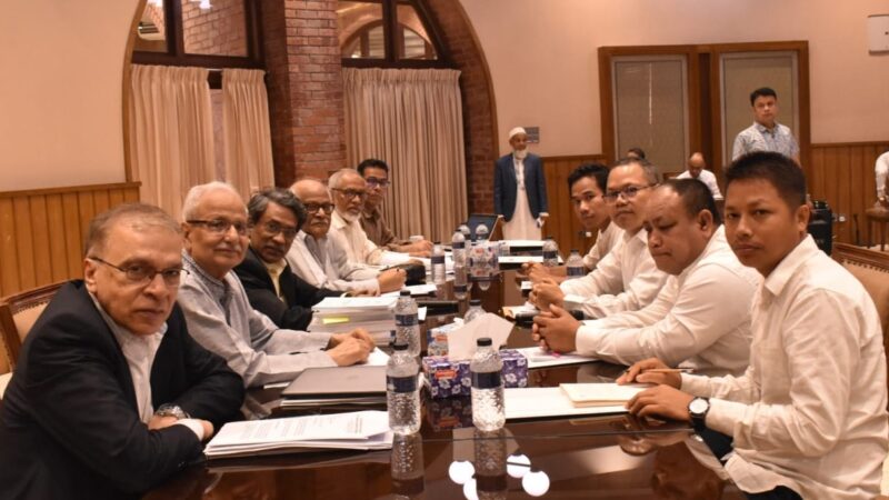 জাতীয় সনদ নাগরিকের সব অধিকার সুরক্ষিত করতে পারবে : আলী রীয়াজ