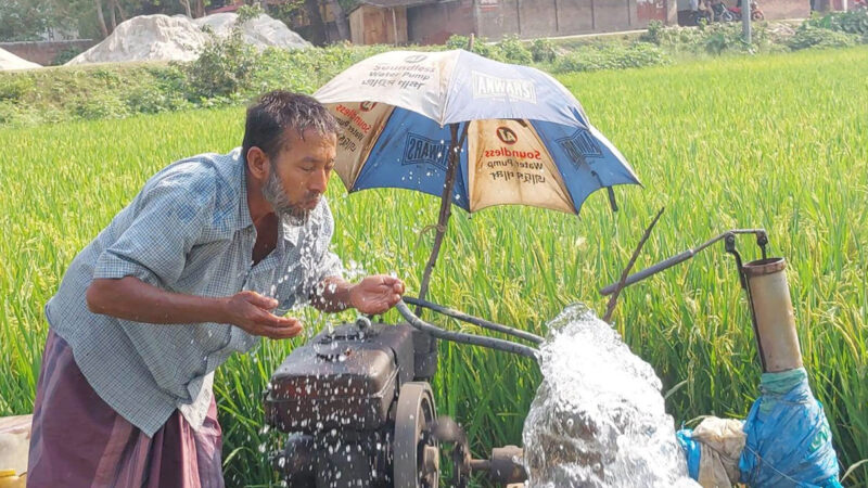 তীব্র তাপপ্রবাহে পুড়ছে রাজশাহী ও চুয়াডাঙ্গা
