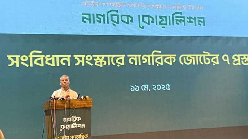 নতুন সংবিধান প্রণয়ন করতে অনেক সময় লাগবে : আসিফ নজরুল
