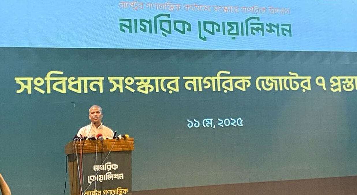 নতুন সংবিধান প্রণয়ন করতে অনেক সময় লাগবে : আসিফ নজরুল