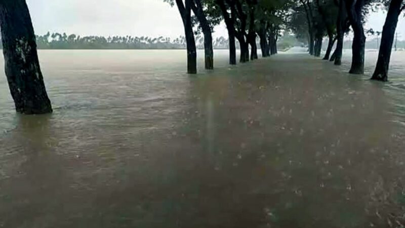 চেরাপুঞ্জিতে রেকর্ড বৃষ্টিপাত, পাহাড়ি ঢলে তলিয়ে গেছে গোয়াইনঘাট সড়ক