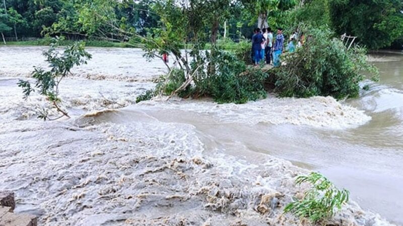 বন্যা প্রতিরক্ষা বাঁধে ভাঙন, তলিয়ে গেছে জকিগঞ্জ