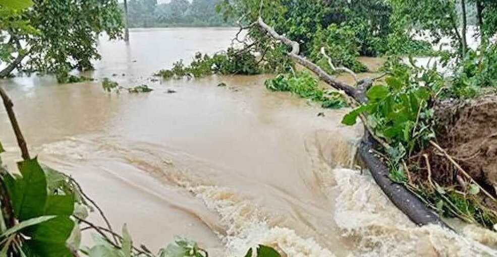 উজানের ঢলে ফেনীতে ৩ নদীর বাঁধ ভেঙে ৩০ গ্রাম প্লাবিত