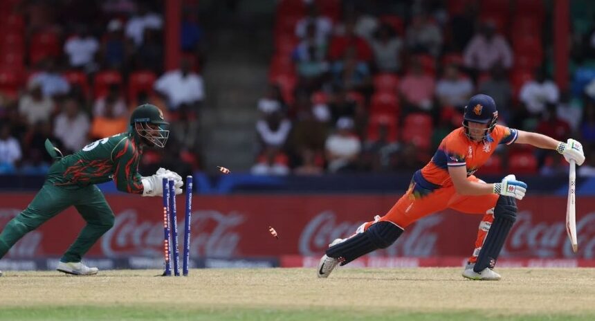 নেদারল্যান্ডস সিরিজটি কোথায় হবে, জানাল বিসিবি