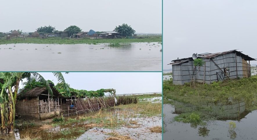 বিপৎসীমার কাছাকাছি পদ্মার পানি, ডুবেছে চর