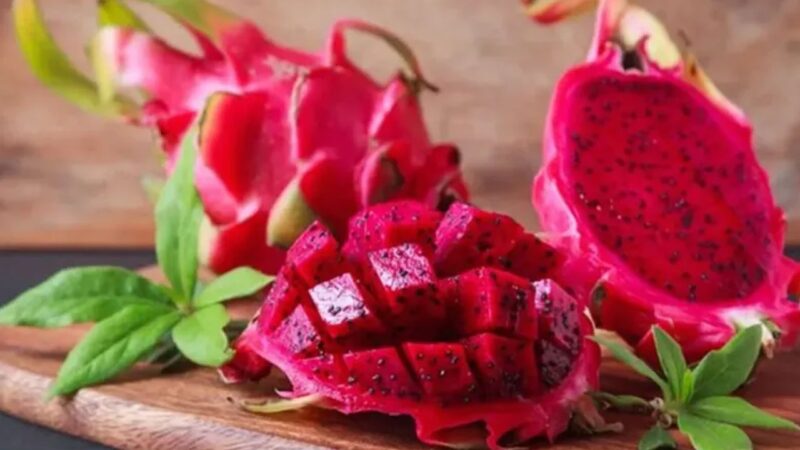 ড্রাগন ফল কারা খাবেন, দৈনিক কতটুকু খাওয়া নিরাপদ?
