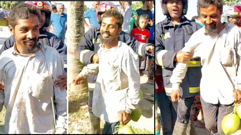 ডাব খেয়ে গাছের ওপরেই ঘুম, উদ্ধার করলো ফায়ার সার্ভিস