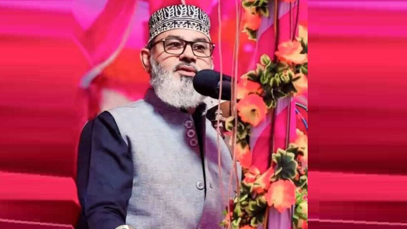 ফ্যাসিবাদী স্বৈরতান্ত্রিক ব্যবস্থার পরিবর্তন করতে হ্যাঁ ভোট দিন: মাসুদ সাঈদী