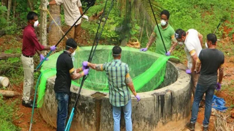 পশ্চিমবঙ্গে নিপাহ্ ভাইরাস: সংক্রমণ কি আদৌ ছড়িয়েছে?