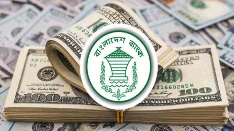 বছরের শুরুতেই প্রবাসী আয় ছাড়াল ২৯৪ কোটি ডলার