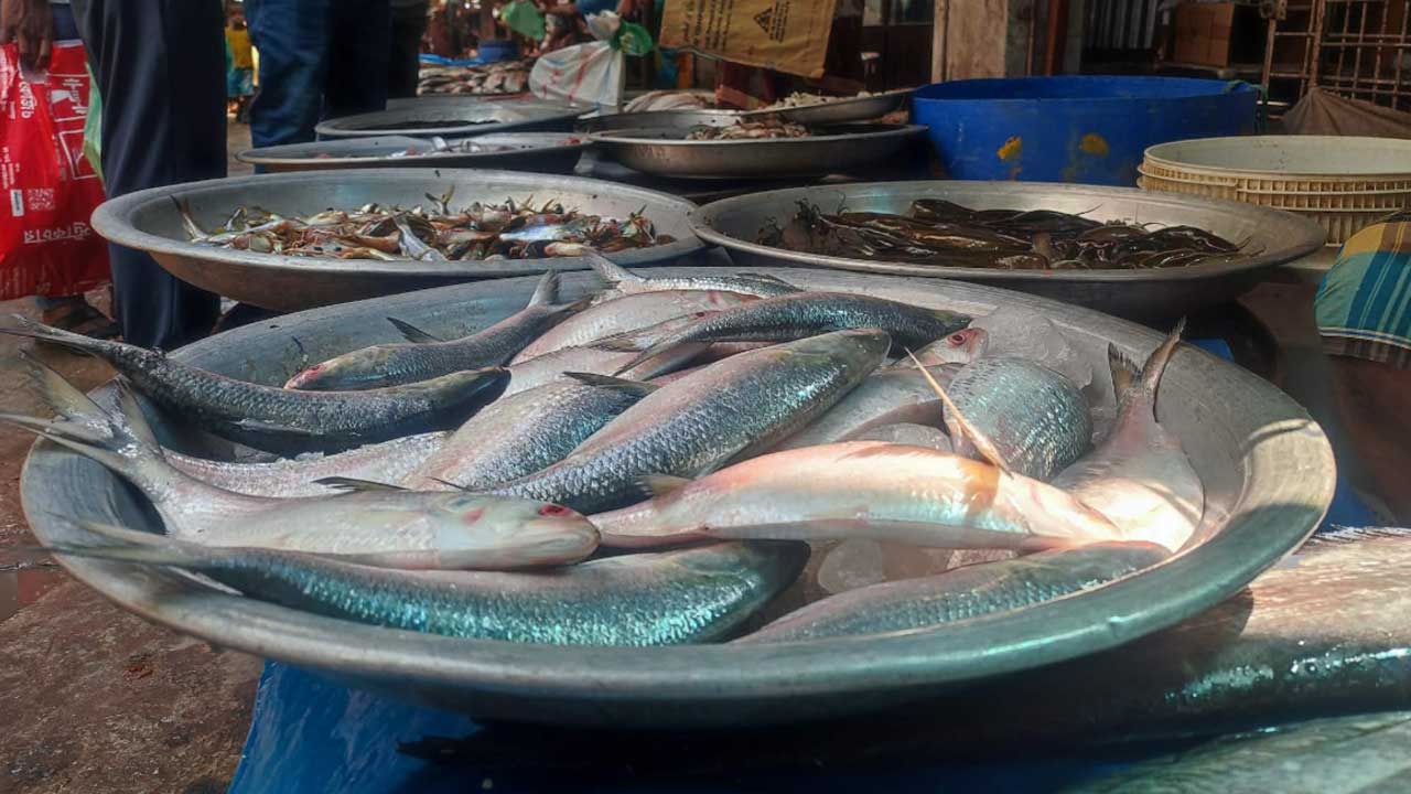 ব্রয়লারে স্বস্তি, মাছে ঊর্ধ্বগতি