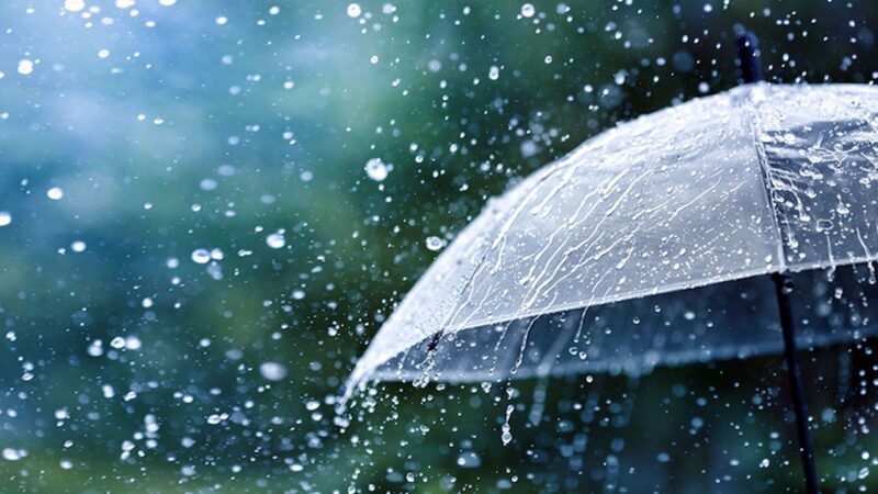 বৃষ্টি হতে পারে দুই বিভাগে