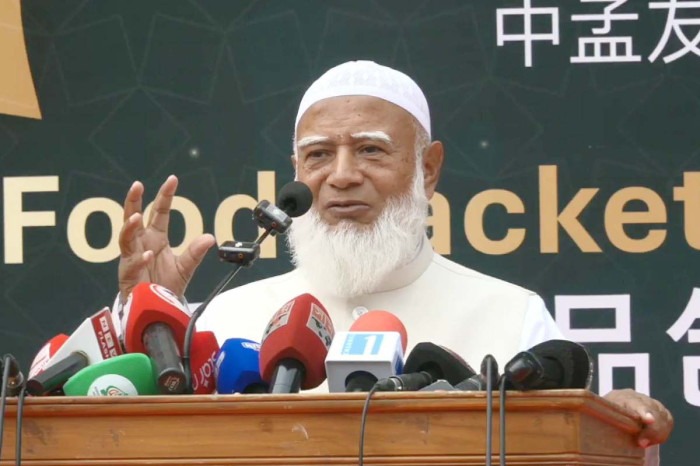 ‘দেশের ঘাড়ে আধিপত্যবাদ চাপানো হবে, আমরা তা মেনে নেবো না’