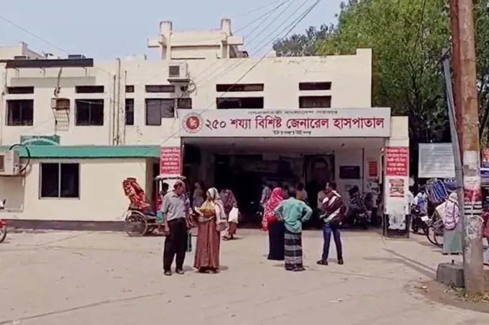 টাঙ্গাইলে পুকুরে ডুবে ২ ভাইয়ের মৃত্যু