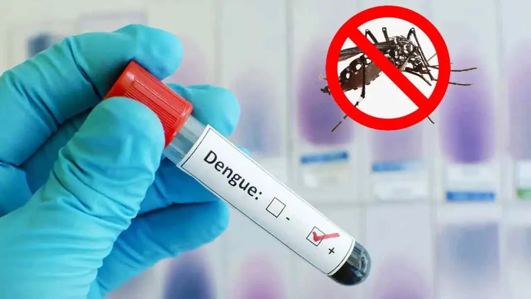 ডেঙ্গুতে ৩ জনের মৃত্যু, হাসপাতালে ভর্তি ৩৭২ জন