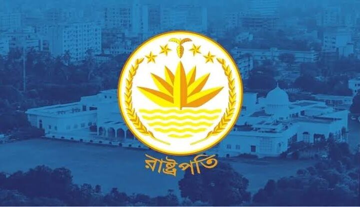 রাষ্ট্রপতি নির্বাচন ঘিরে বিএনপির ‘ঝুঁকি এড়ানো’ কৌশল