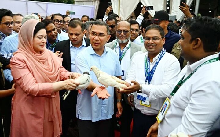 চিকিৎসক সমাবেশের উদ্বোধন করলেন প্রধানমন্ত্রী তারেক রহমান