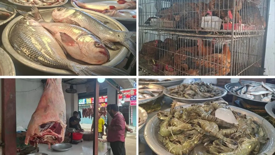 ডজনে ১০ টাকা কমেছে ডিমে, আগের দামেই মাছ-মাংস