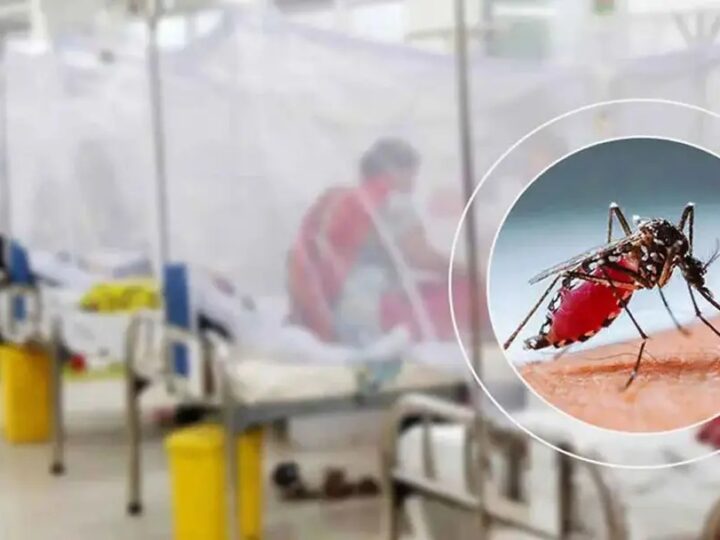 ২৪ ঘণ্টায় ডেঙ্গুতে আক্রান্ত ৯৯৪, মৃত্যু ৩