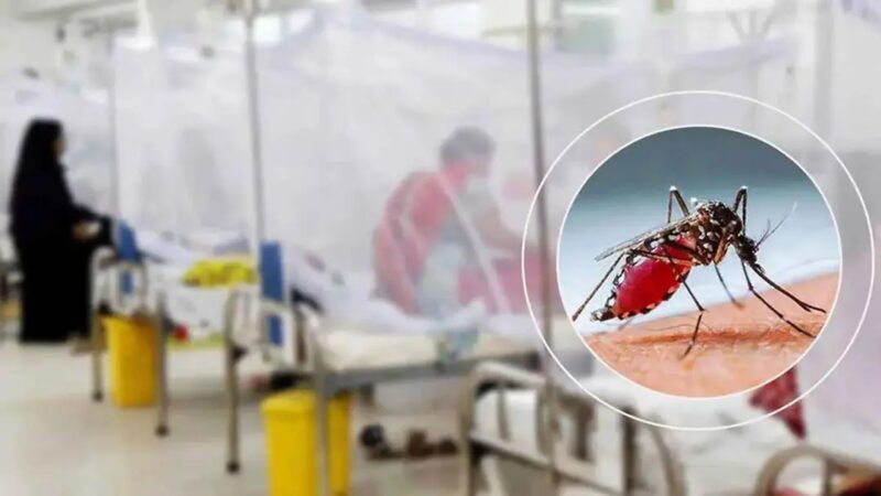 ২৪ ঘণ্টায় ডেঙ্গুতে আক্রান্ত ৯৯৪, মৃত্যু ৩