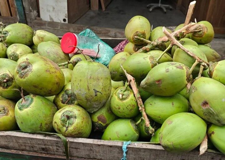 ডাবসহ সব ফলের দাম চড়া, চাপে ক্রেতা