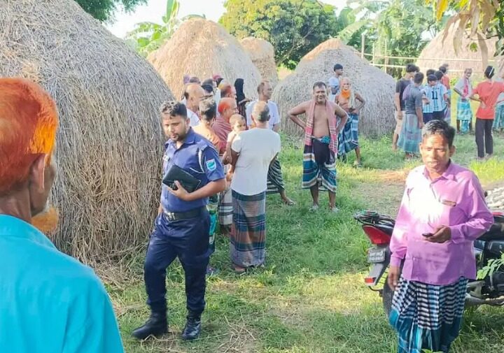 গভীর রাতে ১০ ঘোড়া জবাই, মাংস নিয়ে গেল দুর্বৃত্তরা