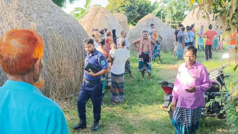 গভীর রাতে ১০ ঘোড়া জবাই, মাংস নিয়ে গেল দুর্বৃত্তরা