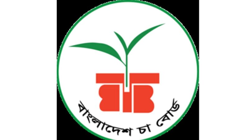 চা বোর্ডের চেয়ারম্যান মেসবাহ উদ্দিনকে প্রত্যাহার