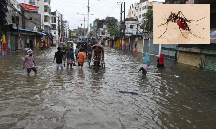 বৃষ্টির পর চট্টগ্রামে বাড়ছে ডেঙ্গু, সপ্তাহে আক্রান্ত ৫ শতাধিক