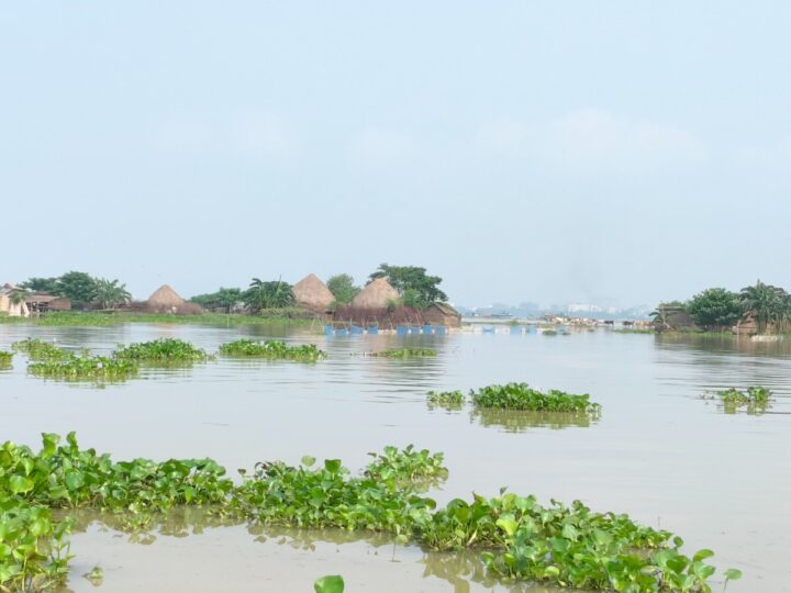 রাজশাহীতে বিপদসীমার কাছাকাছি পদ্মার পানি, প্লাবিত চরাঞ্চল