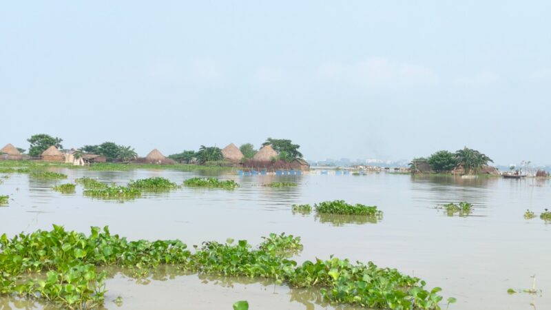 রাজশাহীতে বিপদসীমার কাছাকাছি পদ্মার পানি, প্লাবিত চরাঞ্চল