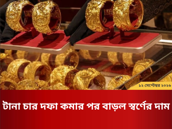 ধর্ষণ-নারী নির্যাতনসহ সব অপরাধ সমাজ থেকে মুছে দেবে বিএনপি: রিজভী