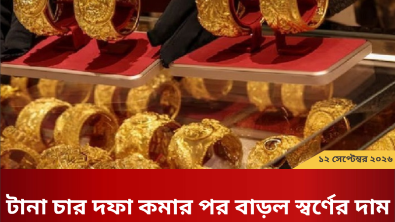 ধর্ষণ-নারী নির্যাতনসহ সব অপরাধ সমাজ থেকে মুছে দেবে বিএনপি: রিজভী