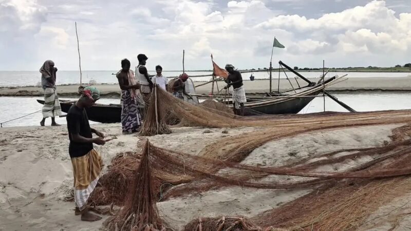 মা ইলিশ রক্ষায় ২২ দিনের নিষেধাজ্ঞা, দুশ্চিন্তায় পদ্মাপাড়ের জেলেরা