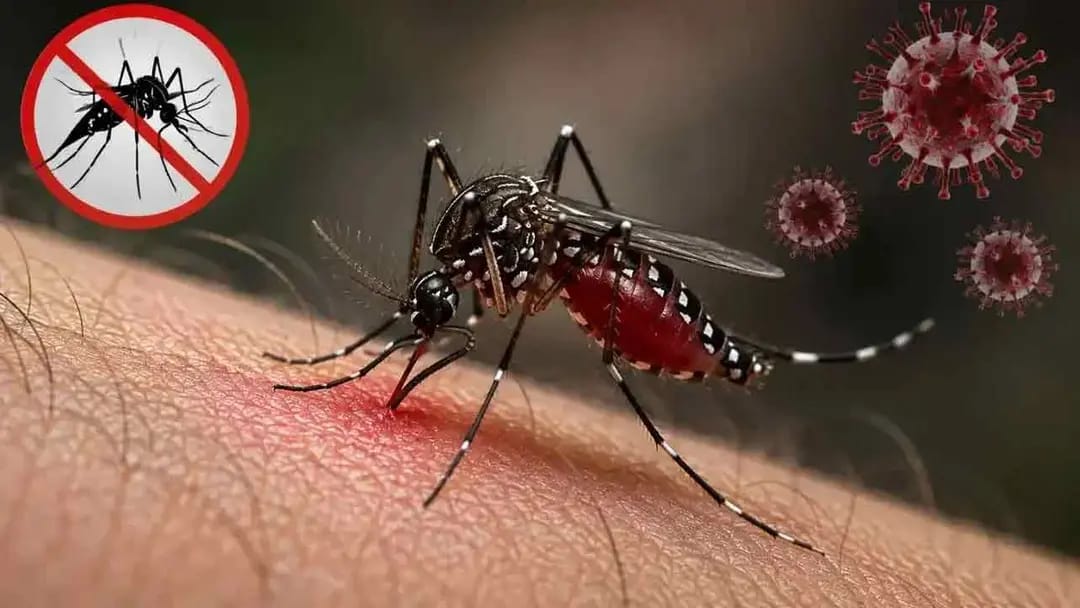ডেঙ্গুতে মৃত্যু ৩০৩, আক্রান্ত লাখের পথে