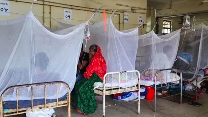 ডেঙ্গুতে আরও ৪ জনের মৃত্যু, হাসপাতালে ভর্তি ১১৮১
