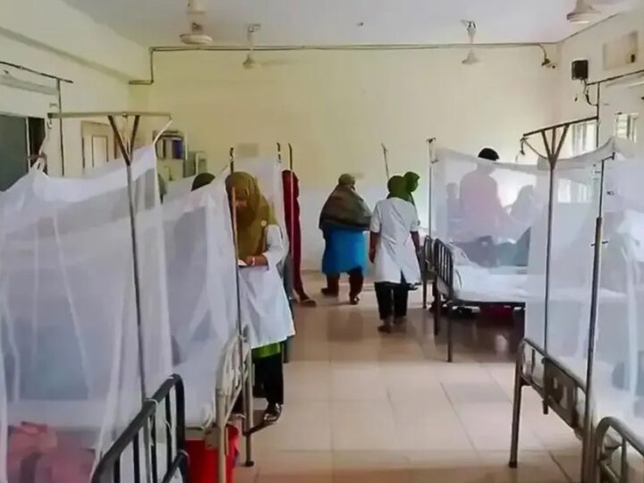 দেশে ২৪ ঘণ্টায় ডেঙ্গুতে আরও ৯ জনের মৃত্যু