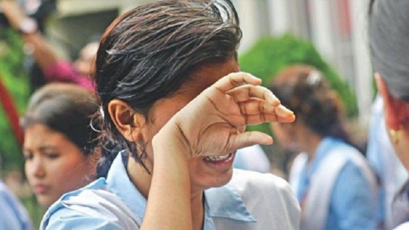 এইচএসসি ও সমমান: ২৯৩ শিক্ষাপ্রতিষ্ঠানে পাস করেনি কেউ, শতভাগ পাস ১৩৯টিতে